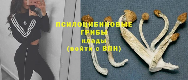 не бодяженный Магас