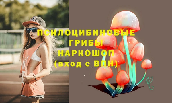 не бодяженный Магас