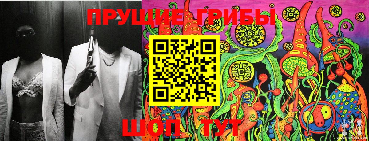 Псилоцибиновые грибы мухоморы Санкт-Петербург