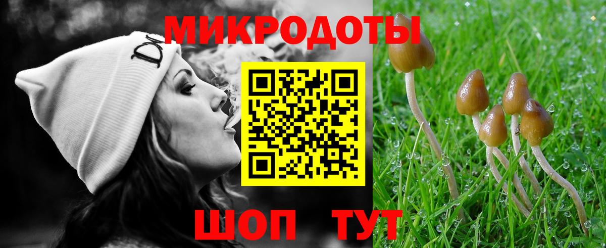 Псилоцибиновые грибы Psilocybine cubensis  Вход с VPN  Галлюциногенные грибы MAGIC MUSHROOMS  Санкт-Петербург 